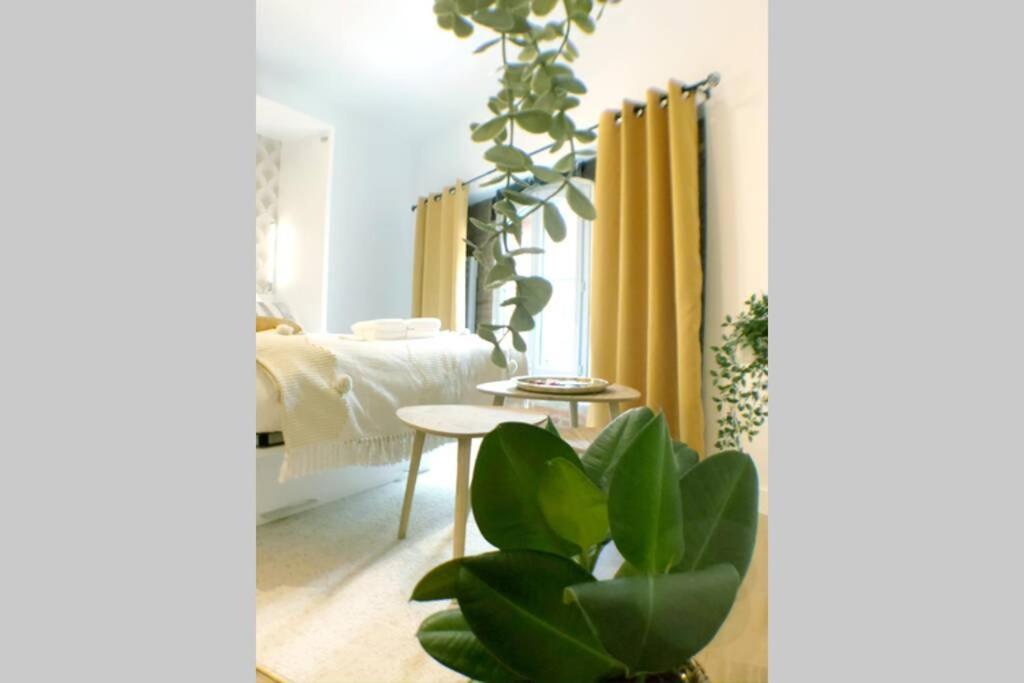 Le Floral - Hypercentre Capitole # Parking Prive # Queen Size Тулуза Екстериор снимка